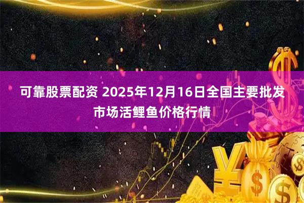可靠股票配资 2025年12月16日全国主要批发市场活鲤鱼价格行情