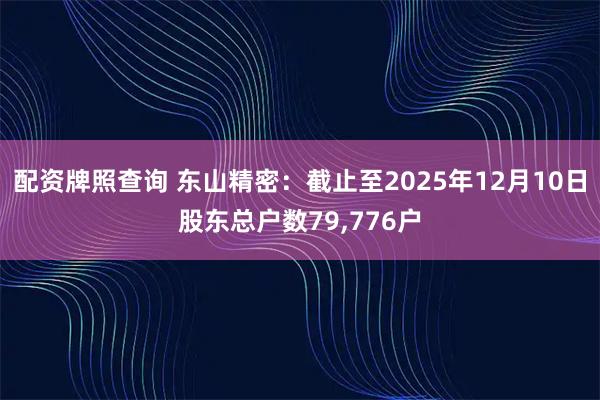 配资牌照查询 东山精密：截止至2025年12月10日股东总户数79,776户