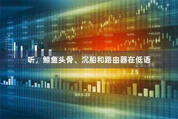 听，鲸鱼头骨、沉船和路由器在低语