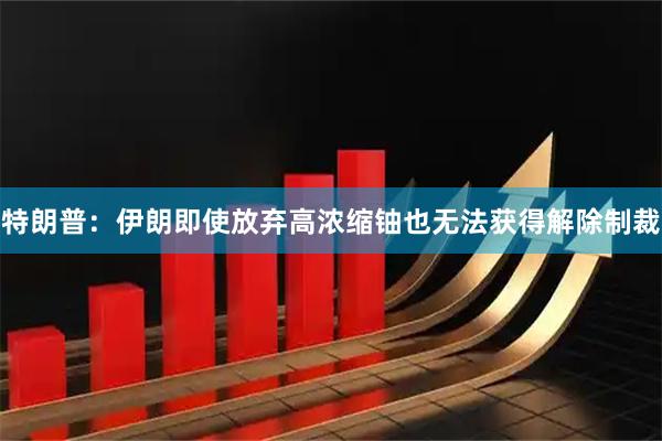 特朗普：伊朗即使放弃高浓缩铀也无法获得解除制裁