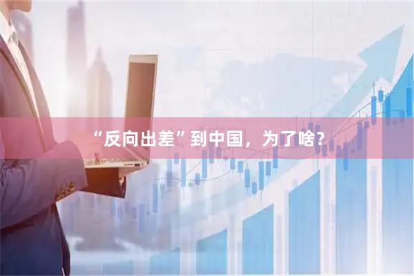 “反向出差”到中国，为了啥？